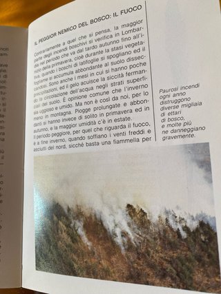 Libro manuale “Il bosco in tasca” anno 1985