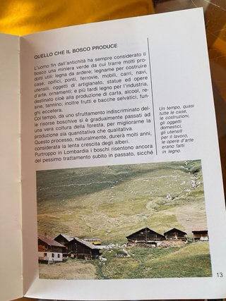 Libro manuale “Il bosco in tasca” anno 1985