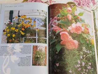 Larousse de la jardinería plantas de exterior