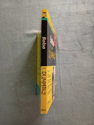 Bolsa para dummies