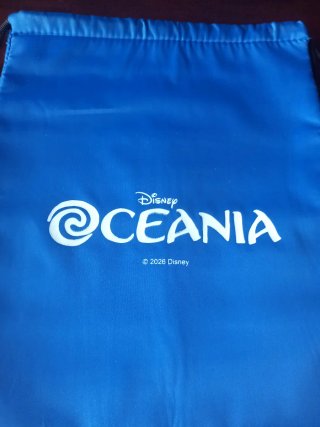 Sacca termica Disney Oceania Blu