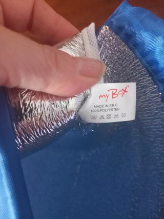 Sacca termica Disney Oceania Blu