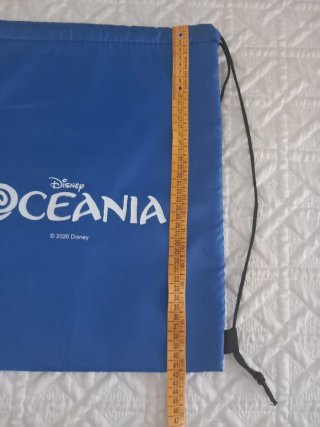 Sacca termica Disney Oceania Blu