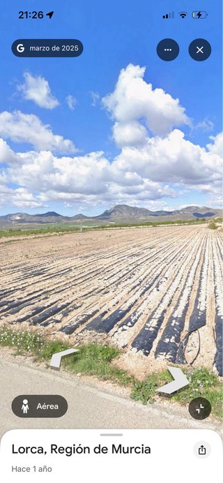 Terreno de regadío con agua