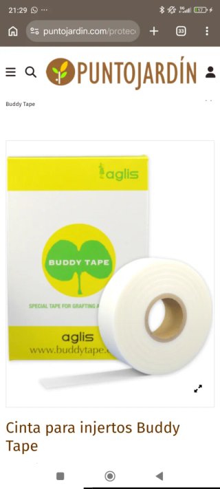 3 Rollos Buddy Tape Injertos