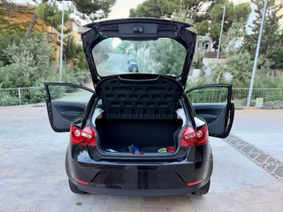 SEAT Ibiza 2010