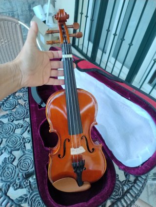 Violín con funda