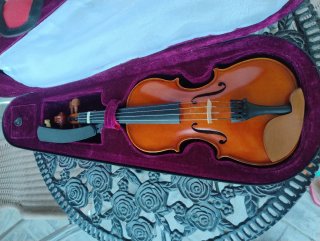 Violín con funda