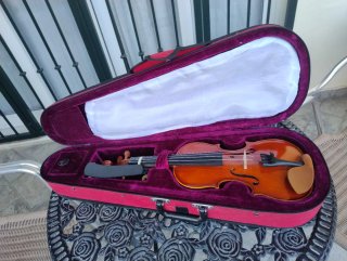 Violín con funda