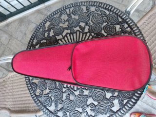 Violín con funda