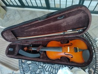 Violín con funda y arco