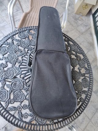 Violín con funda y arco