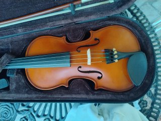 Violín con funda y arco