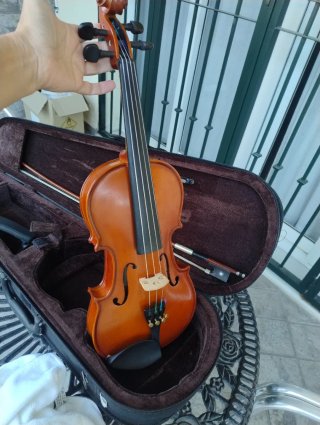 Violín con funda y arco