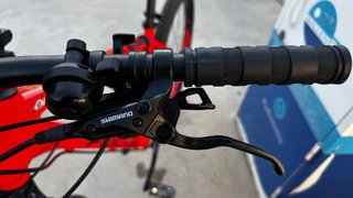 Bicicleta montaña FOCUS 29