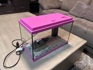 Pecera pequeña rosa