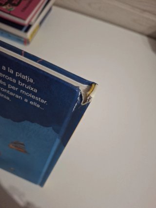 El petit drac Coco i la bruixa