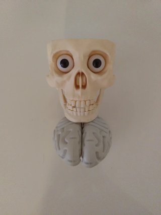 Maqueta Cráneo Humano con Cerebro, Dientes y Ojos.