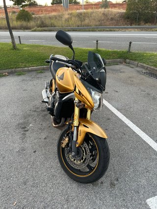 Honda Hornet CB600F ABS 2009 | 59.800 km