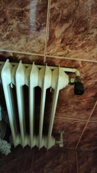Radiador de hierro