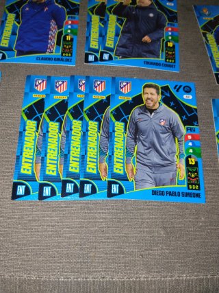 Colección cromos Entrenadores Fútbol Panini