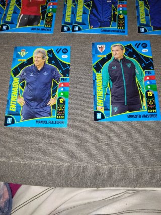 Colección cromos Entrenadores Fútbol Panini