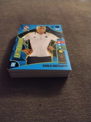 Colección cromos Entrenadores Fútbol Panini