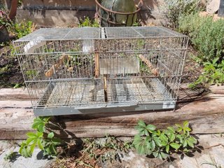 Jaulas de cría apilables 60cm