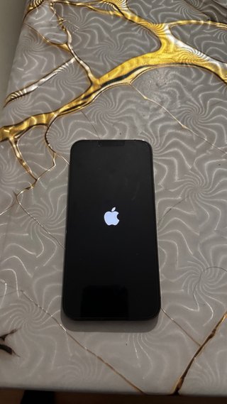 iPhone 13 Pro Max Space Gray