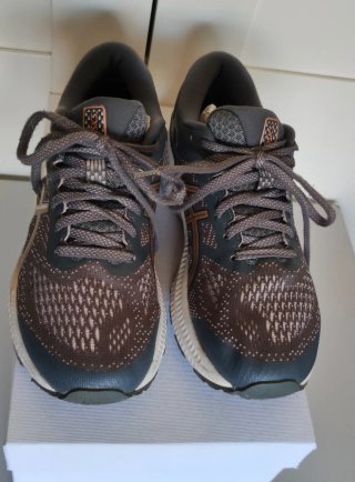 Zapatillas Asics Gel-Kayano 26 Metropolis/Oro rosa