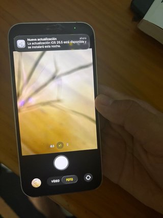 iPhone 12 Pro Plata