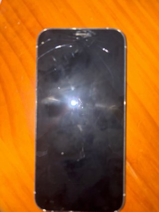 iPhone 12 Pro Plata