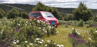 Marco Polo 2004 Camper Wetsfalia Mercedes-Benz