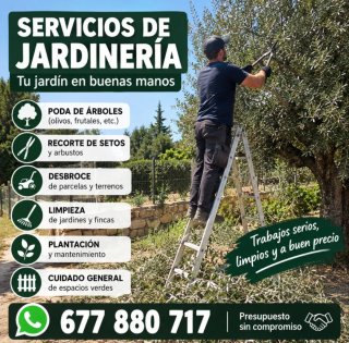 Jardinería económico