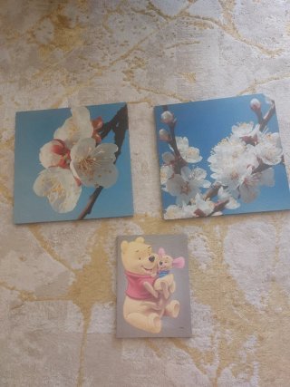 Cuadros decorativos flores y Winnie Pooh