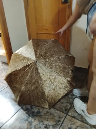 Paraguas con estampado de leopardo