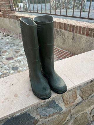 Botas de agua verdes