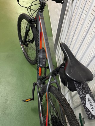 Megamo Natural 29’