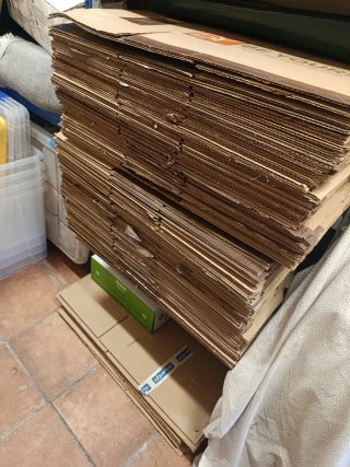 Lote 20 Cajas Embalar Usadas