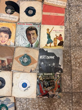 Lote de Discos de Vinilo Variados