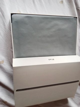 Apple iPad
