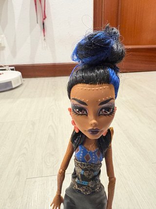 Monster High Robecca Stein G1 Muñeca