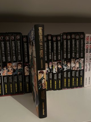 Guardianes de la noche fanbook