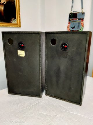 Altavoces Aiwa SX-E9 Años 80.