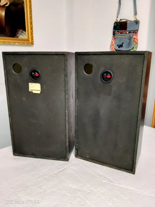 Altavoces Aiwa SX-E9 Años 80.