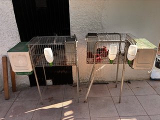 Jaula para conejos