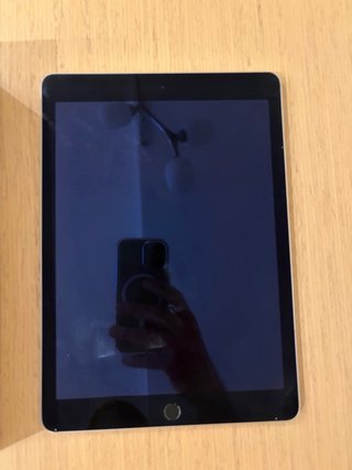 iPad Air 2 16GB Negro/Plata
