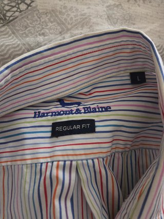 Camicia Blauer Multicolor Righe