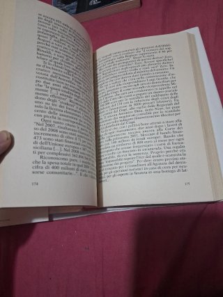 Se muore il Sud