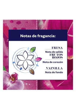 2 uds Mimosín Origen Rosas Silvestres